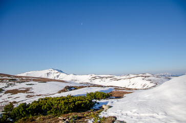landscape with snow