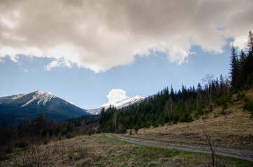 mountains in the morning
