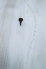 Snowy Road and tracks