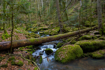 Monbachtal