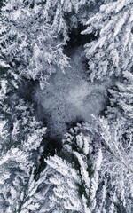 snow landscape over forest with frozen tree