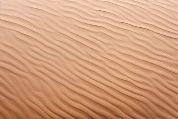 Detailed sand dune texture in a desert landscape