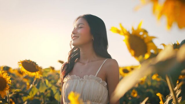 Young carefree asian woman exhaling fresh air in field with sunflowers in sunset, enjoying nature, happy female closed her eyes dream.