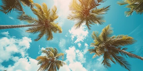 Palm trees with the sun shining through them. Perfect for tropical and beach-themed designs - Powered by Adobe