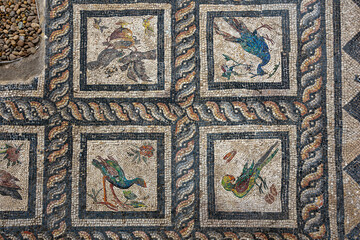 Roman Mosaics on the floor in the building near the Roman amphitheater of Alexandria