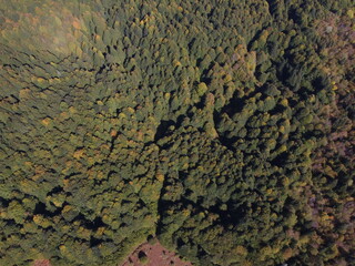 aerial view and nature