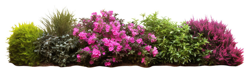 Lush garden bushes cut out