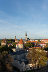 Fototapeta premium Tallinn old town