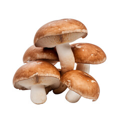 Mushrooms isolated on transparent or white background. Generative ai