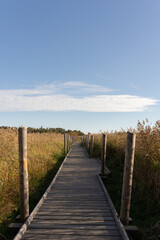 Fototapeta premium wooden bridge over the lake