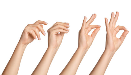 Set of female hands in different poses on a blank background