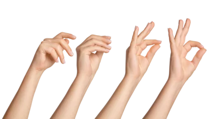 Poster Set of female hands in different poses on a blank background © MM