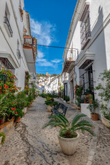 Fototapeta na wymiar Whitewashed houses on a traditional street decorated with flower pots in the pretty village of Jimena de la Frontera, in the province of Cadiz, Andalusia, Spain