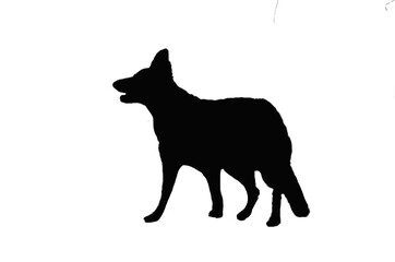 dog silhouette. PNG silhouette of dog isolated transparent