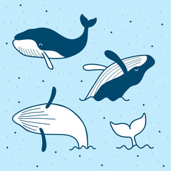 Cute whales cartoon images