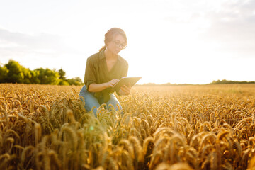 Woman agronomist in a field with a tablet checks the growth of the crop.  New harvest concept. Concept ecology,  outdoor nature, clean air, food. Natural production bio product.