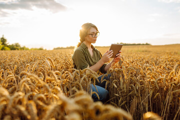 Naklejka na ściany i meble Woman agronomist in a field with a tablet checks the growth of the crop. New harvest concept. Concept ecology, outdoor nature, clean air, food. Natural production bio product.