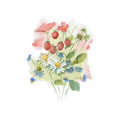 Watercolor wildflowers with strawberries bouquet - hand drawn illustration. Spring flowers. Botanical decoration. Pastel colors. Bouquet with chamomile and Cornflowers