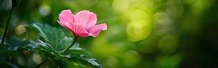 Naklejka premium Flower garden of a pink flower with a green background