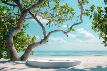 Round white podium for product presentation on the sand with a tropical tree and leaves, blue sky background
