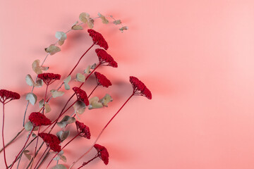 Red flowers with green leaves on pink background