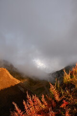 Fototapeta premium Mountains and mountain plants illuminated by a bright red sunset, evening landscape