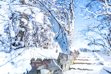 Family’s activity Morningside Park. Snowy landscape of Morningside Park, serene and snowy escape for outdoor enthusiasts. Winter activities. Toronto, Ontario, Canada