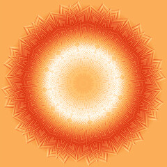 floral geometric ornamental vector  illustration