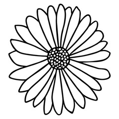 Hand drawn simple flower illustration