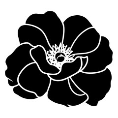 Hand drawn simple flower illustration