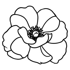Hand drawn simple flower illustration