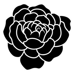 Hand drawn simple flower illustration