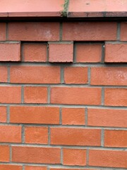Obraz premium A brick wall and hedge