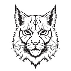 Lynx. Sketch, drawn, graphic portrait of a lynx