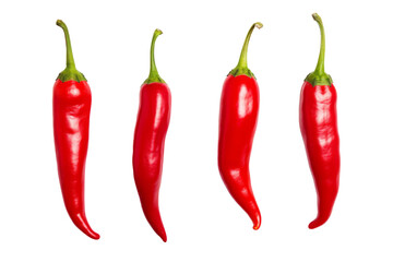Set of various red hot peppers isolated on transparent background