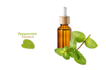 Bottle of face oil serum or peppermint essential oil and mint leaves isolated on white