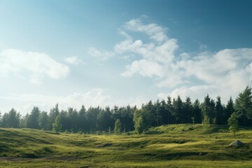 A serene landscape depicting a lush meadow with undulating green grass