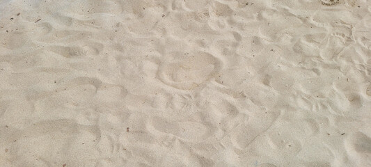 image of white sand beach on the coast of Brazil on a sunny day​