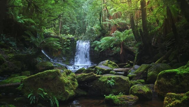 Jurassic forest nature of Tasmania Australia. Waterfall in jungle majestic view