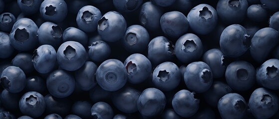 Glistening Dew on Blueberries
