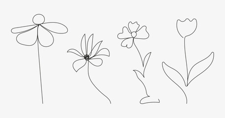 Vector flower illustration, line art