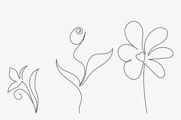 Outline flower a vector illustration