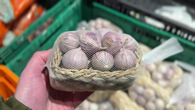 Man holding Fresh Single Clove Garlic or pearl garlic or solo garlic. Close-up shot.