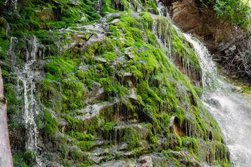 vue sur une chute sur une falaise de roches grise en été avec de la mousse verte