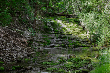 vue sur une chute à ras la pierre grise avec de la mousse verte qui pousse au travers en été dans la forêt
