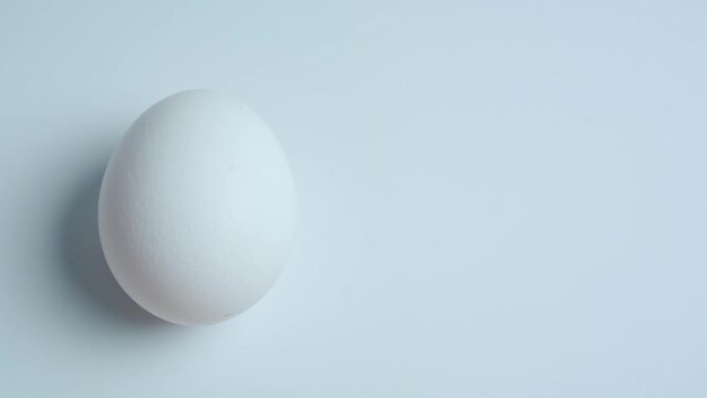 An egg lies on a white background