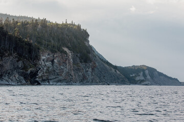 vue sur une falaise en bord de mer lors d'une journée d'été avec une forêt au dessus de la façade de roche