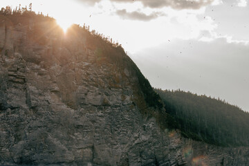 vue sur une falaise avec une forêt sur le dessus lors d'un coucher de soleil avec la lumière au dessus de la montagne en été