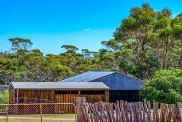 Farmhouse sheds  in  rural  Western Australia 