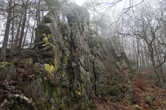 Eifel Belgien Solwaster Felsen Eule Nebel Statte